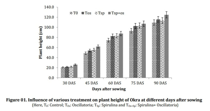 Plant height of okra